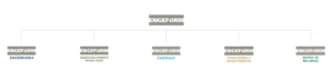 Organograma Engeform